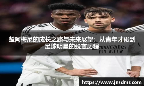 凤凰联盟平台